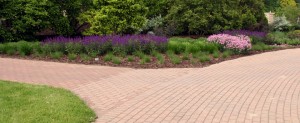 Brick Paver Installation, Maintenance and Repair